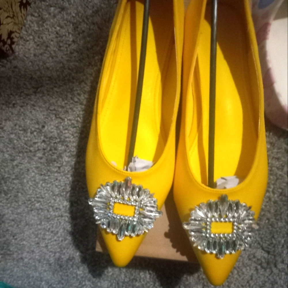 Fancy flat shoe
